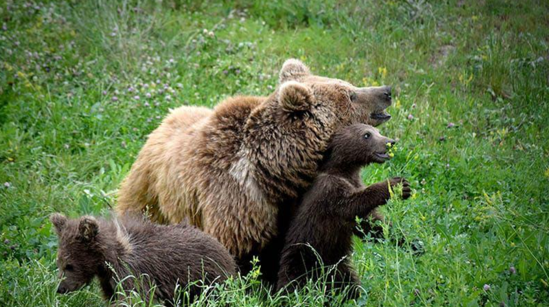 Тарихи рекорд: Алматы хайуанаттар бағына 1 миллионнан астам адам келді