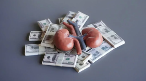 Қазақстандықтардың бүйрегін сатқан әйел Польшада ұсталды