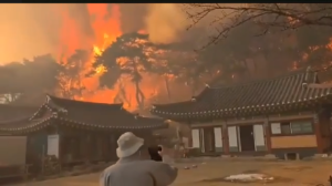 Оңтүстік Кореяда орман өртінен кем дегенде төрт адам қаза тапты