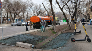 Алматыда көктемгі көгалдандыру жұмыстары қарқын алды
