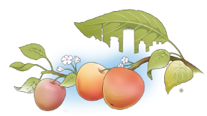 Тазалықты сүйген – табиғатты да, адамды да сыйлайды