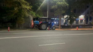 Алматыда жасыл желектерге биологиялық өңдеу жүргізіледі