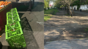 Алмалы ауданында киім және ет, тамақ өнімдерін сатқан 75-тен астам стихиялық сауда нүктелері жойылды