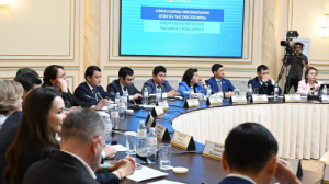  "Таза Қазақстан": Алматының 2025–2029 жылдарға арналған іс-қимыл жоспары