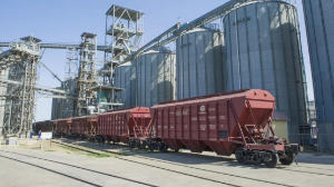 Жаңа астық экспорты 7,6 млн тоннаға жетті