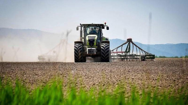 2025 жылғы көктемгі егіске 6 100-ден астам ауыл шаруашылығы өндірушісі жеңілдетілген қаржыландыру алды