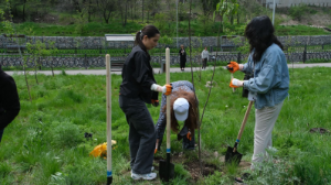 Алматыда 2100-ден астам жас «Жасыл ел» экологиялық жасағына жұмысқа орналасады