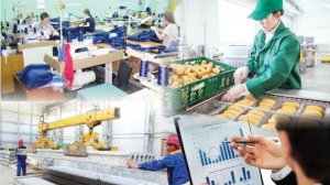 Жыл басынан бері 158 мыңға жуық адам жұмыспен қамтуға жәрдемдесудің белсенді шараларымен қамтылды