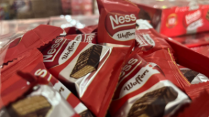 Алматыда контрафактілік өнімдер тәркіленді