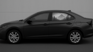 «Тонировкаға» рұқсат бере ме?