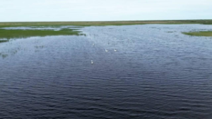 Соңғы 10 жылда алғаш рет Су ресурстары және ирригация министрлігі Талас өзенінің төменгі ағысын суға толтырды