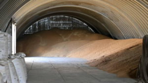 Егіншілерге нақты қолдау: жеңілдетілген несие мен техника лизингі кеңейтілді