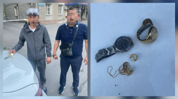 الماتىدا ءتارتىپ ساقشىلارى ۇرلىق جاساعان كۇدىكتىنى ۇستادى 