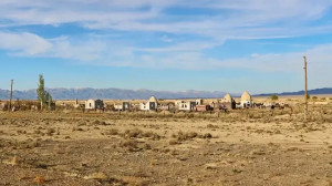 Қазақстанда өлім-жітім көрсеткіші ең жоғары үш облыс анықталды