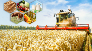 Экономист: қайта өңдеу - экономиканың жаңа бағыты