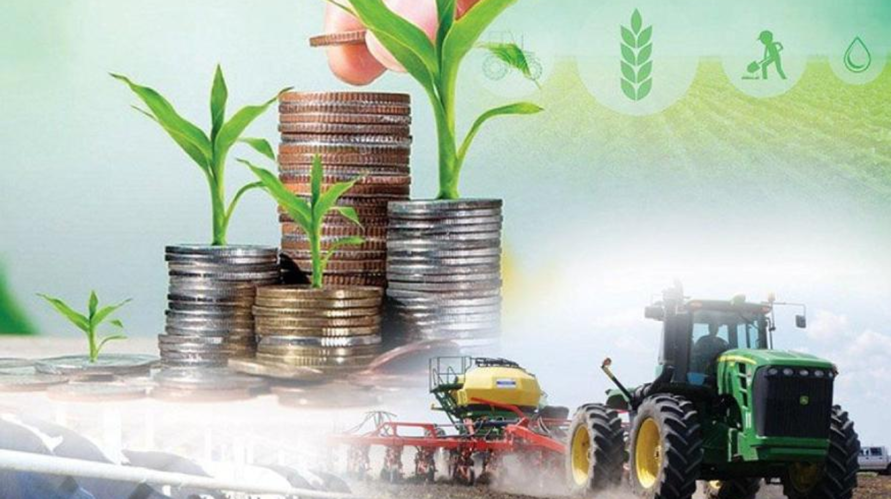 Биылғы бес айда ауыл шаруашылығының жалпы өнім көлемі 4%-ға артты