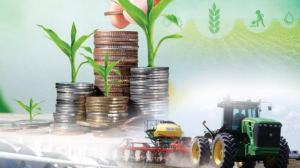 Биылғы бес айда ауыл шаруашылығының жалпы өнім көлемі 4%-ға артты