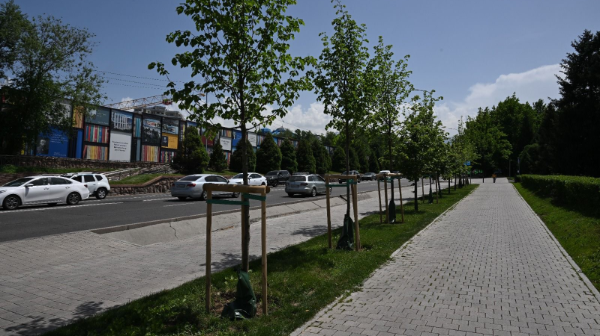 Almaty ákimi jasyl aımaqtardy sýarý men kútip-baptaýǵa baqylaýdy kúsheıtýdi tapsyrdy