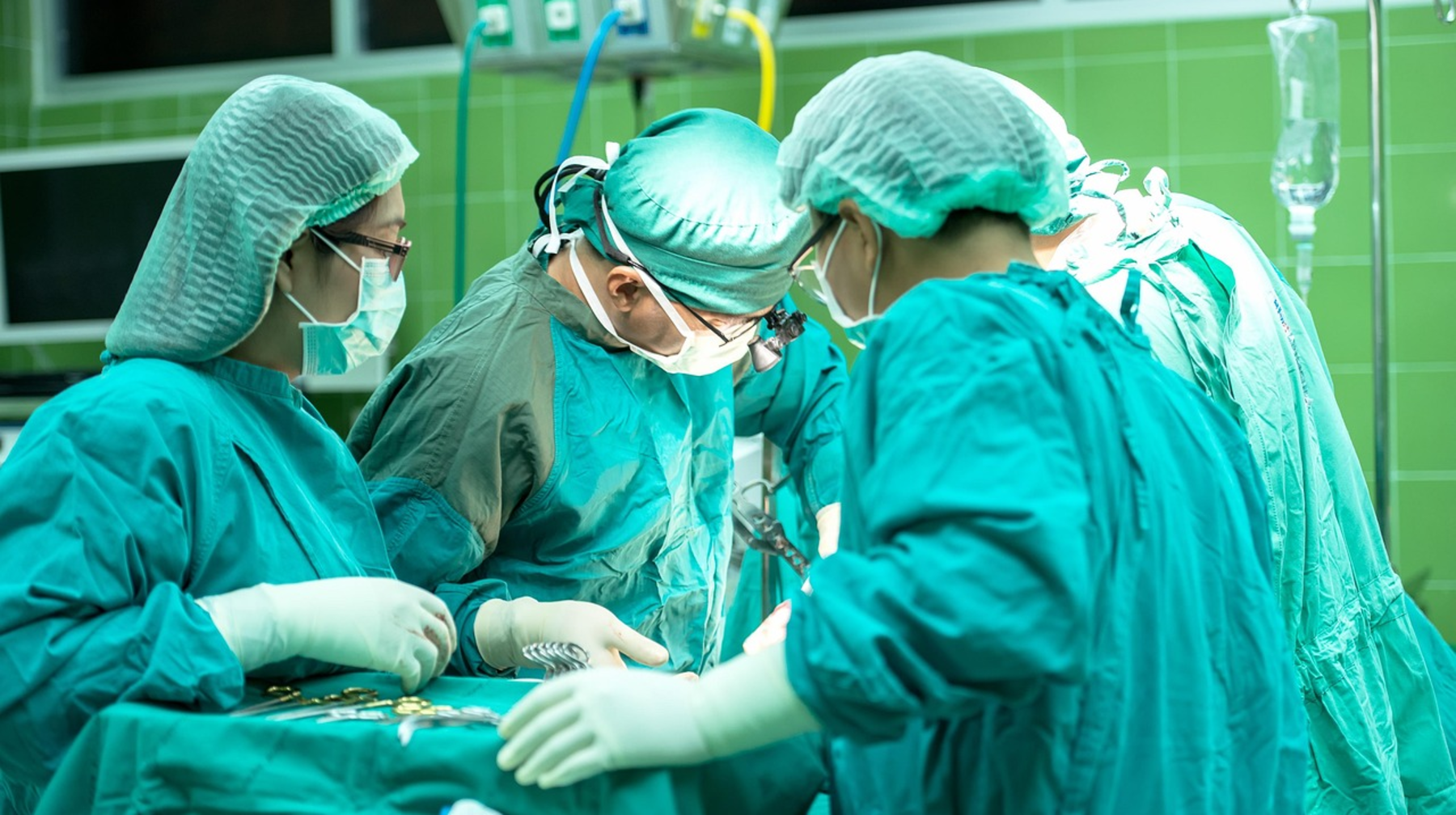 Jyl basynan beri 141 aǵza transplantasıalanǵan