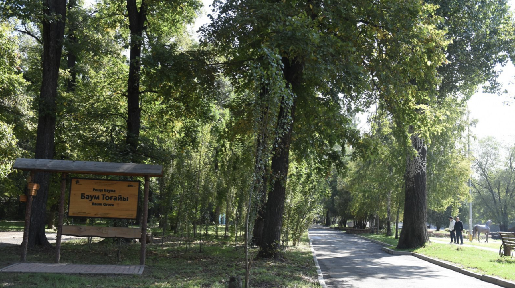 Almatyda Baým toǵaıyn abattandyrý jobasy bastaldy