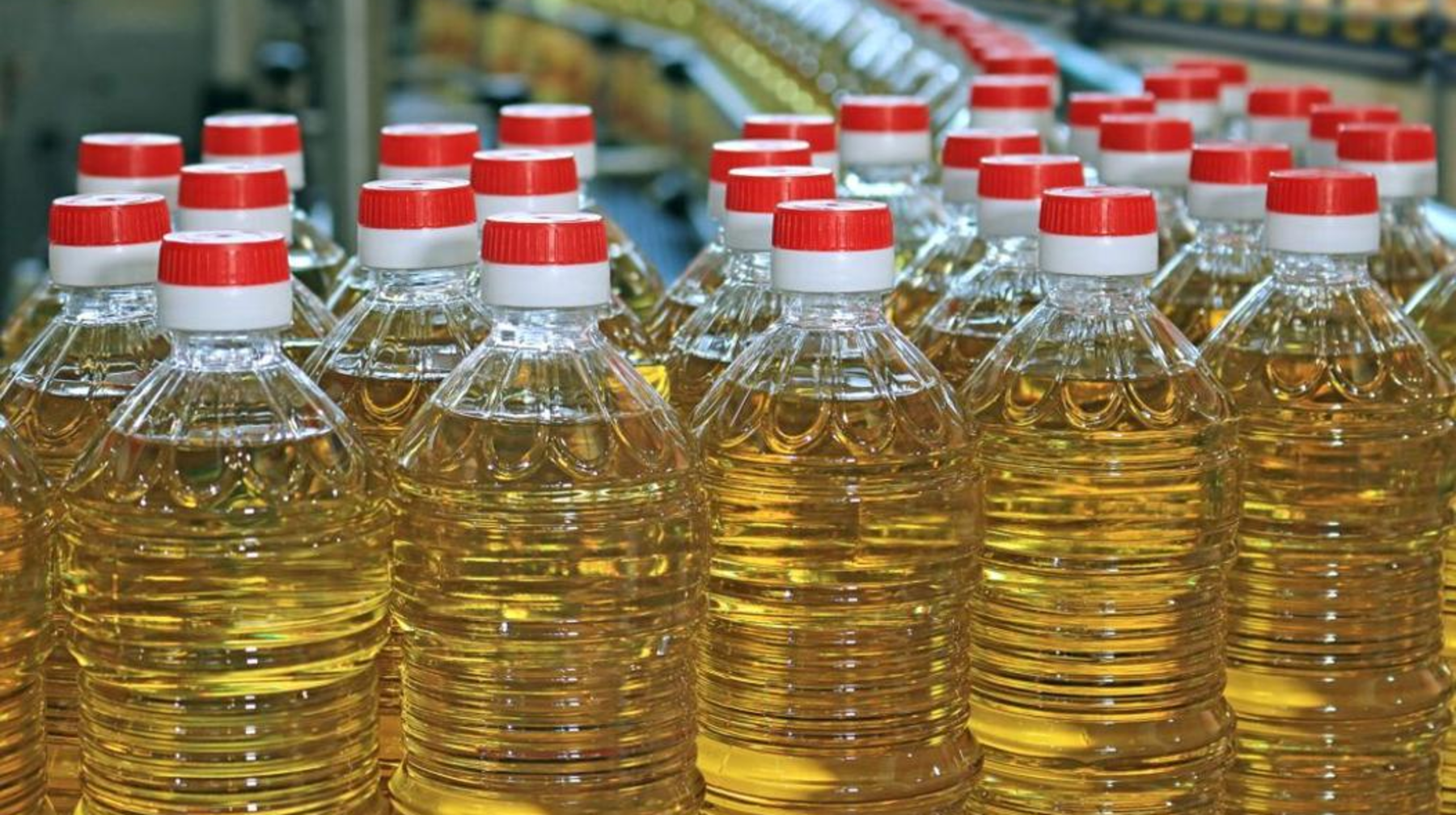 Қазақстанда өсімдік майын таңбалау бойынша пилоттық жоба басталады