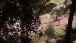 Алматының қақ ортасында бәйге ұйымдастырғандар ұсталды