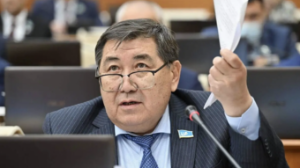 Тілді текетірес пен ерегестің қаруына айналдыру бізге әбүйір әпермейді - Ермұрат Бәпи