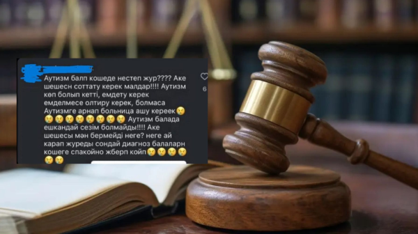 "ەمدەلمەسە، ءولتىرۋ كەرەك". ءاۋتيزمى بار بالالار تۋرالى پىكىر جازعان بلوگەردىڭ ۇستىنەن ءىز قوزعالدى