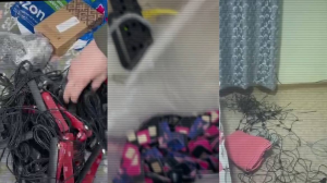 ІІМ халықаралық кибералаяқтар арнасын жойды