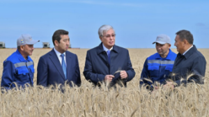 Мемлекет басшысы Ақмола облысындағы егін жинау науқанымен танысты