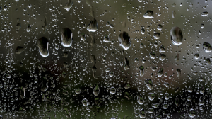 Алматыда кеше толассыз жаңбыр жауды: әкімдік мәселені қалай шешіп жатыр?