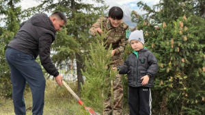 Экологиялық акция аясында ауқымды ағаш отырғызу шарасы өтеді
