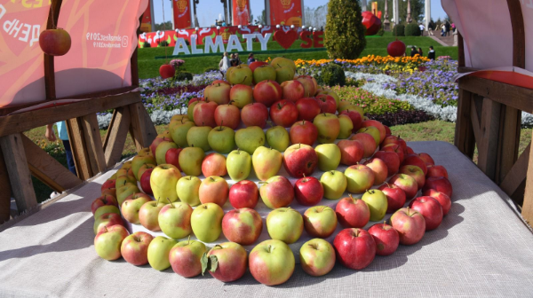 Alma Fest: 100 тонна алма, жұлдыздардың өнері және қызықты ойындар