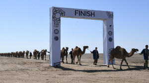 Алматыдағы ауқымды керуен