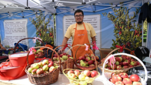 Alma Fest 2025-те 130 тоннадан аса алма сатылды