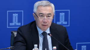 88 миллион теңге: Жұманғарин қосымша табысы туралы ашық есеп берді