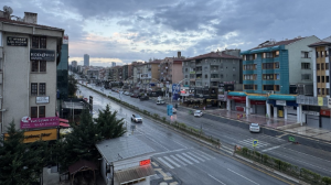 Тағылымы мол тағылымдама