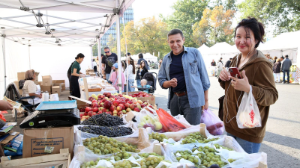 Алматыда Түркістан облысының кеңейтілген ауыл шаруашылығы жәрмеңкесі өтіп жатыр