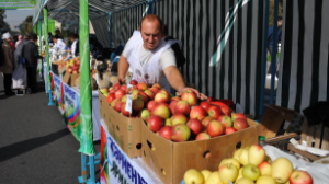 Алматыда «Береке Fest» аясында ауыл шаруашылығы жәрмеңкесі өтеді