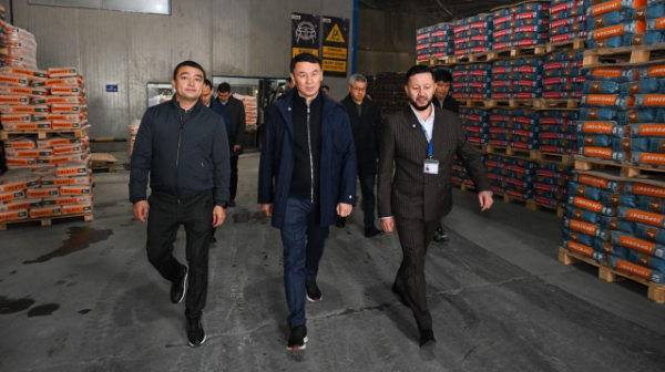 Almaty ákimi jetekshi kásiporyndardyń jumysyn tekserdi