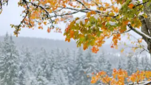 Қар, үсік, тұман: 5 қазанда қандай ауа райы күтілетіні белгілі болды