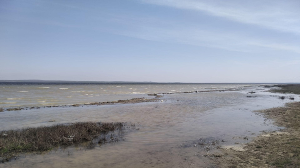 Almatyda sarqyndy sýlardy zertteýge 120 mln teńge bólindi
