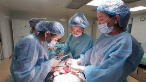 Онкогинекологиялық аурулар: профилактиканың маңызы қандай?