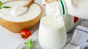 Қазақ неге ұйытқы cұрамаған?