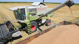 Қазақстан жаңа өнімнен 1,6 млн тонна астық экспорттады