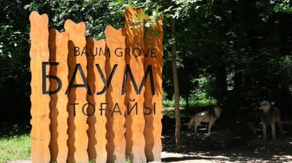 باۋم توعايىن اباتتاندىرۋ جوباسىندا اعاش كەسىلمەيدى