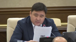 "Біздің блогерсымақтар шетелге барып, абыройды айрандай төгіп жүр". Депутат пранкерлердің парақшаларын бұғаттау керегін айтты