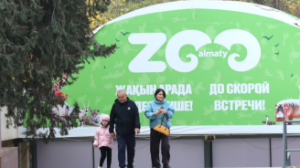 Қонақжай қаланың хайуанаттар бағы – тартымды туристік орталық  
