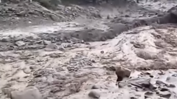 كەنيادا كوشكىننەن 21 ادام قازا تاپتى