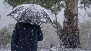 بۇرقاسىن، كوكتايعاق پەن جەل: بۇگىن اۋا رايى قانداي بولادى؟